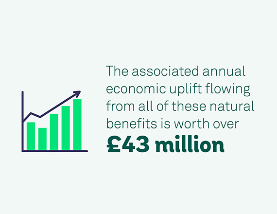 Illustration of a graph and text saying '£43 million economic uplift from natural benefits'