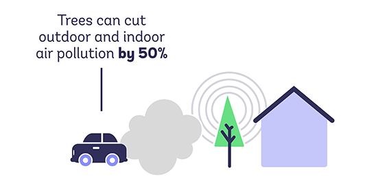 Trees can cut air pollution by fifty percent