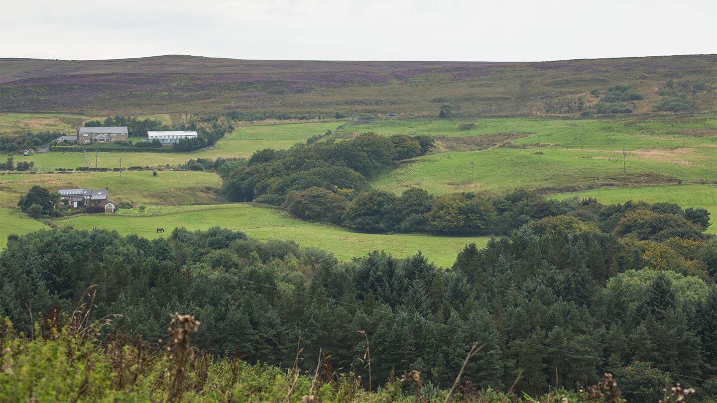 Mosaic of farmland and woodland