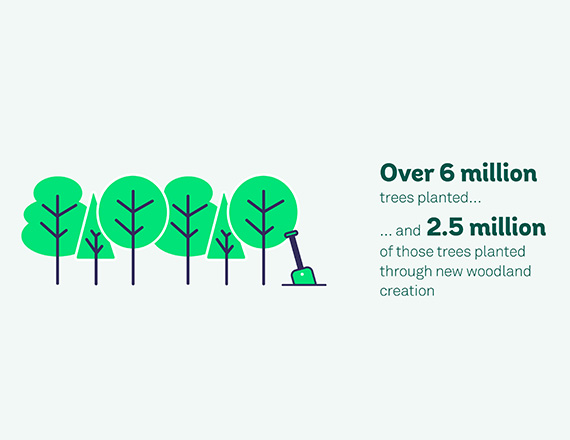 Illustration of trees and text saying 'Over six million trees planted'