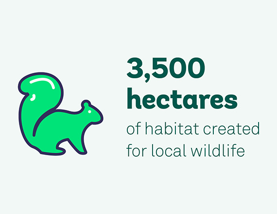 Illustration of a squirrel and text saying '3,500 hectares of habitat created for local wildlife'