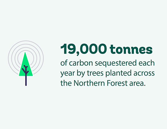 Illustration of a tree and text saying '19,000 tonnes of carbon sequestered each year'