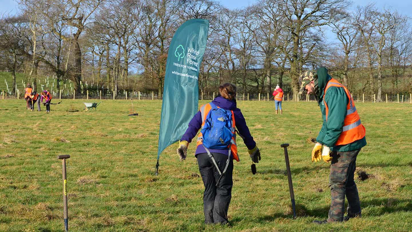 Group planting trees in an open field.
