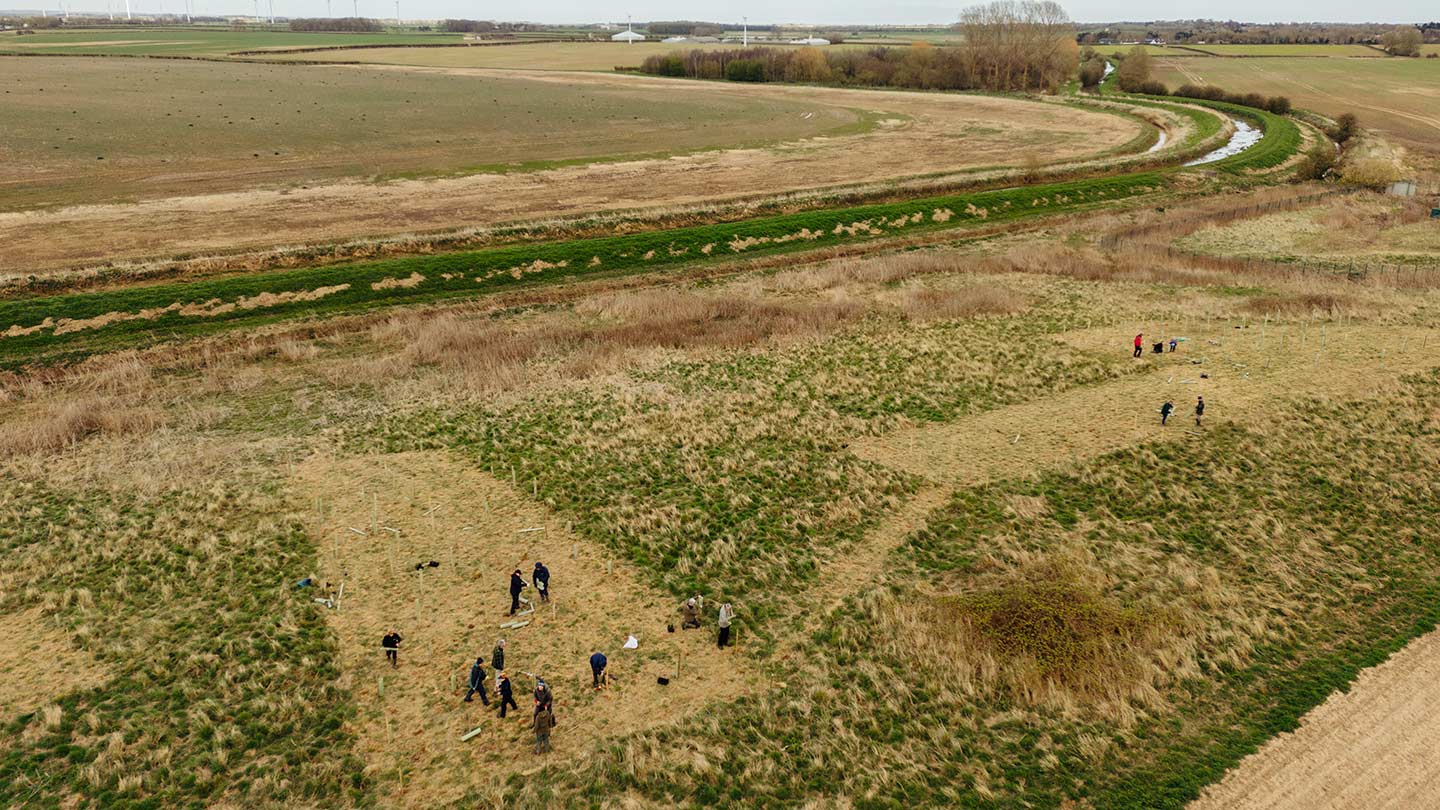 Aerial view of flat marshy landscape with people planting trees.