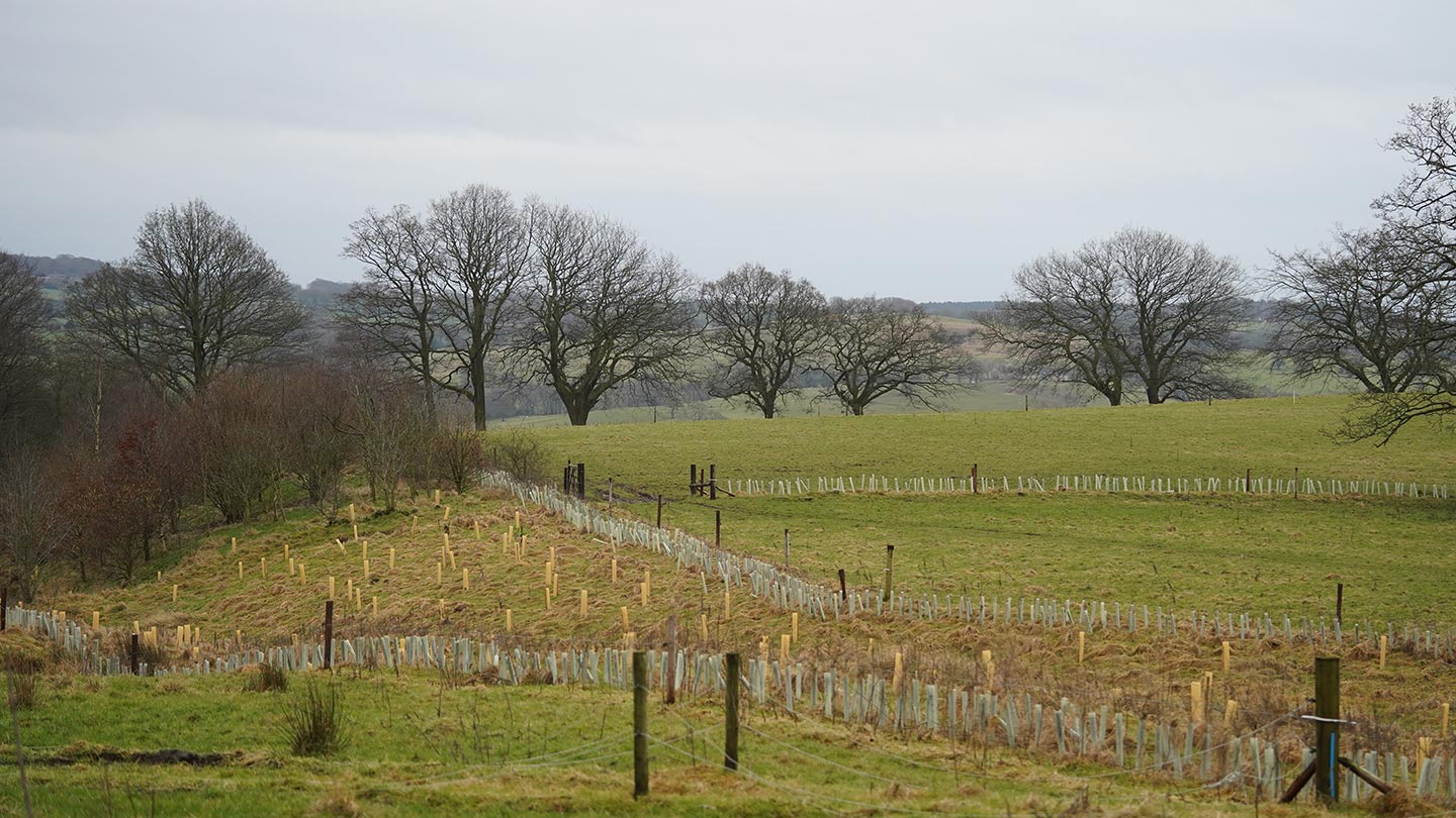 View of farmland fields with trees in the distance.
