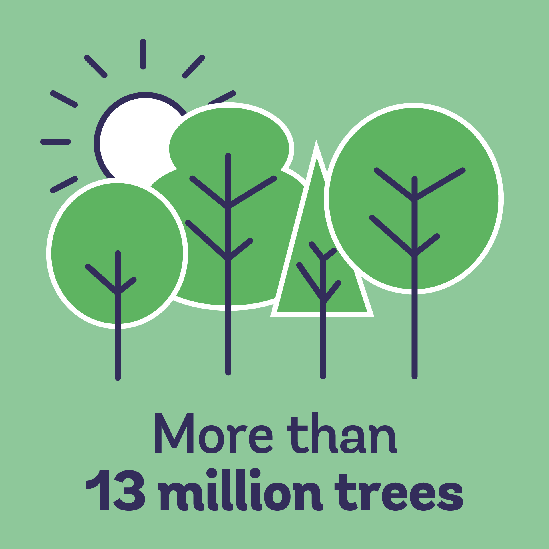 More than 13 million trees