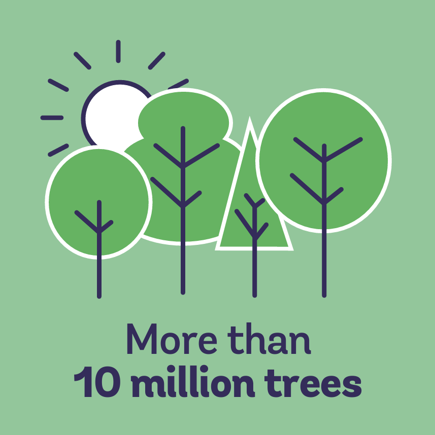Graphic of trees with the caption, 'More than 10 million trees'