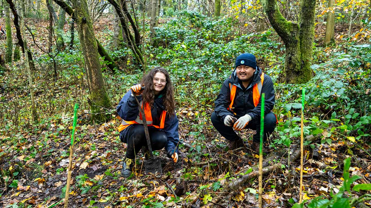 Two people planting trees in woodland.