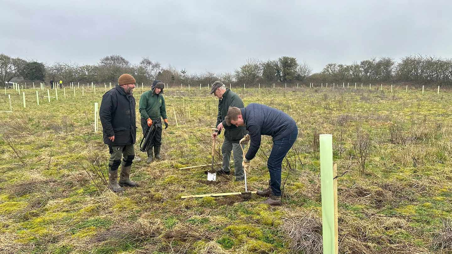 Group of people planting trees in field.